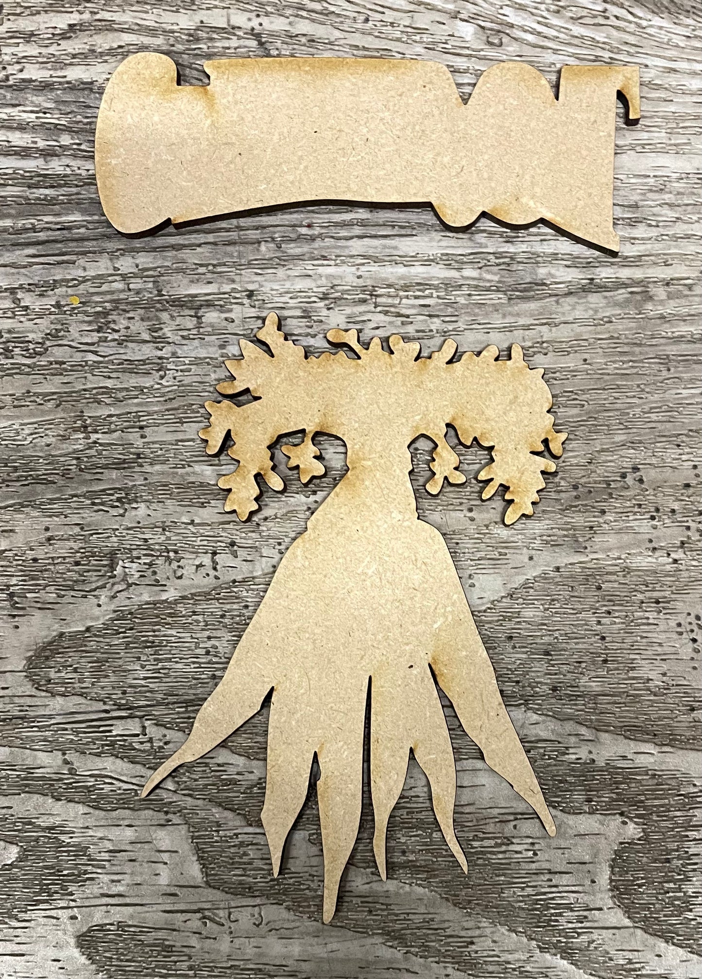 Carrot word and Carrot unpainted wood cutouts - ready for you to paint