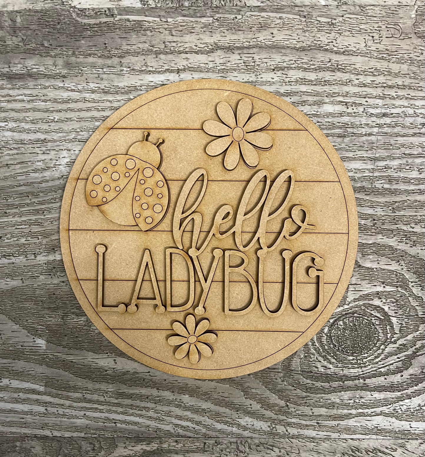 Ladybug insert for changeable sign, unpainted ready for you to finish