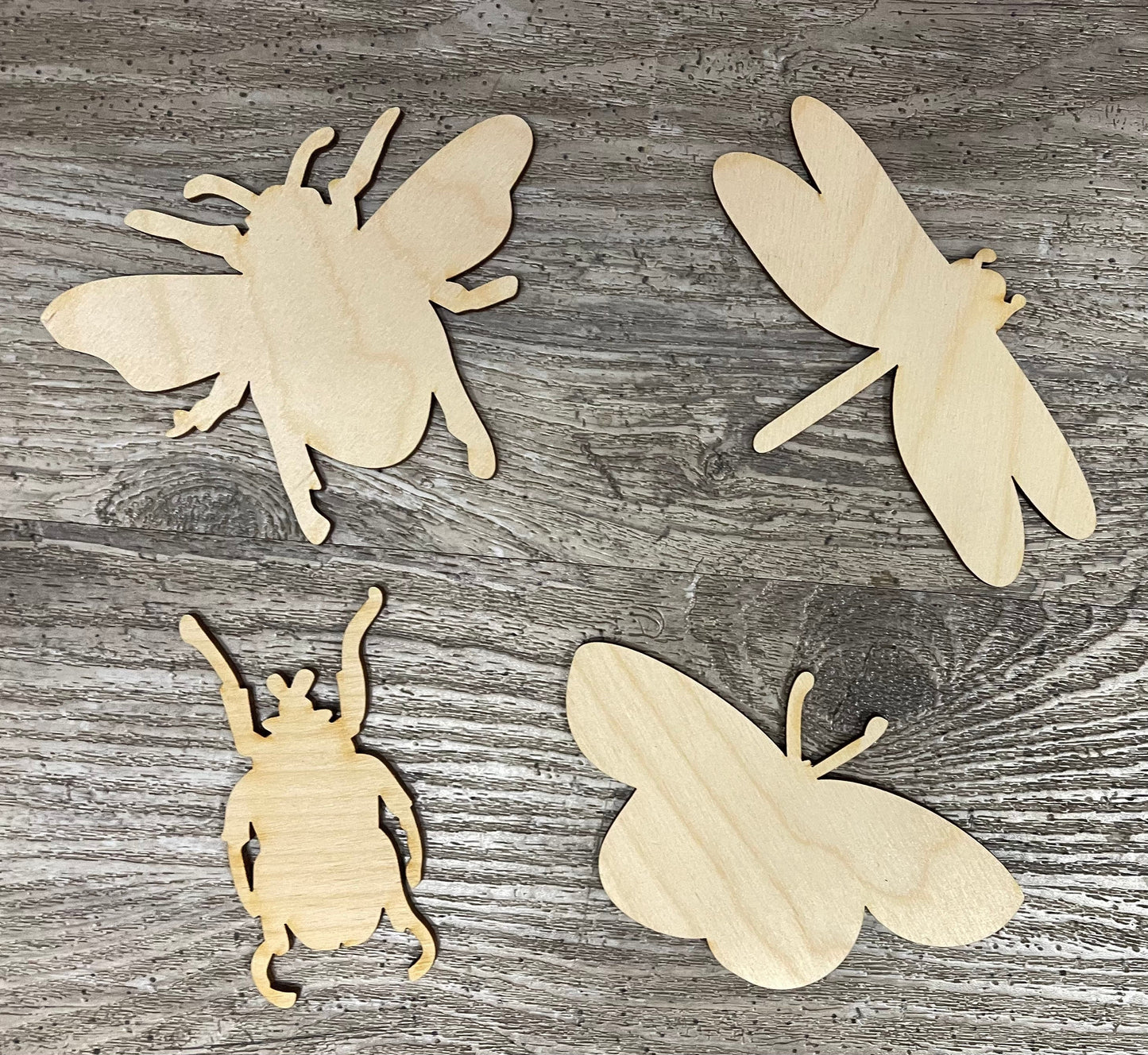 Etched Bugs cutouts unfinished wooden  Cutouts